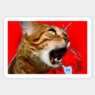 Bengal Katze 1 / Swiss Artwork Photography Sticker